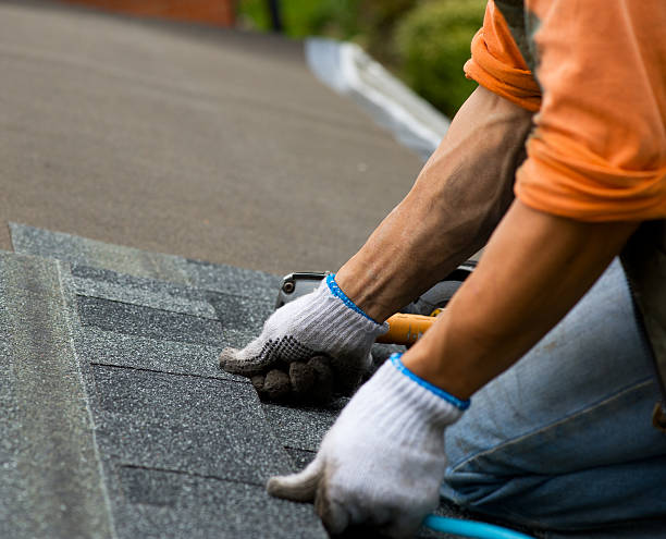 Best Metal Roofing Contractor  in Oviedo, FL